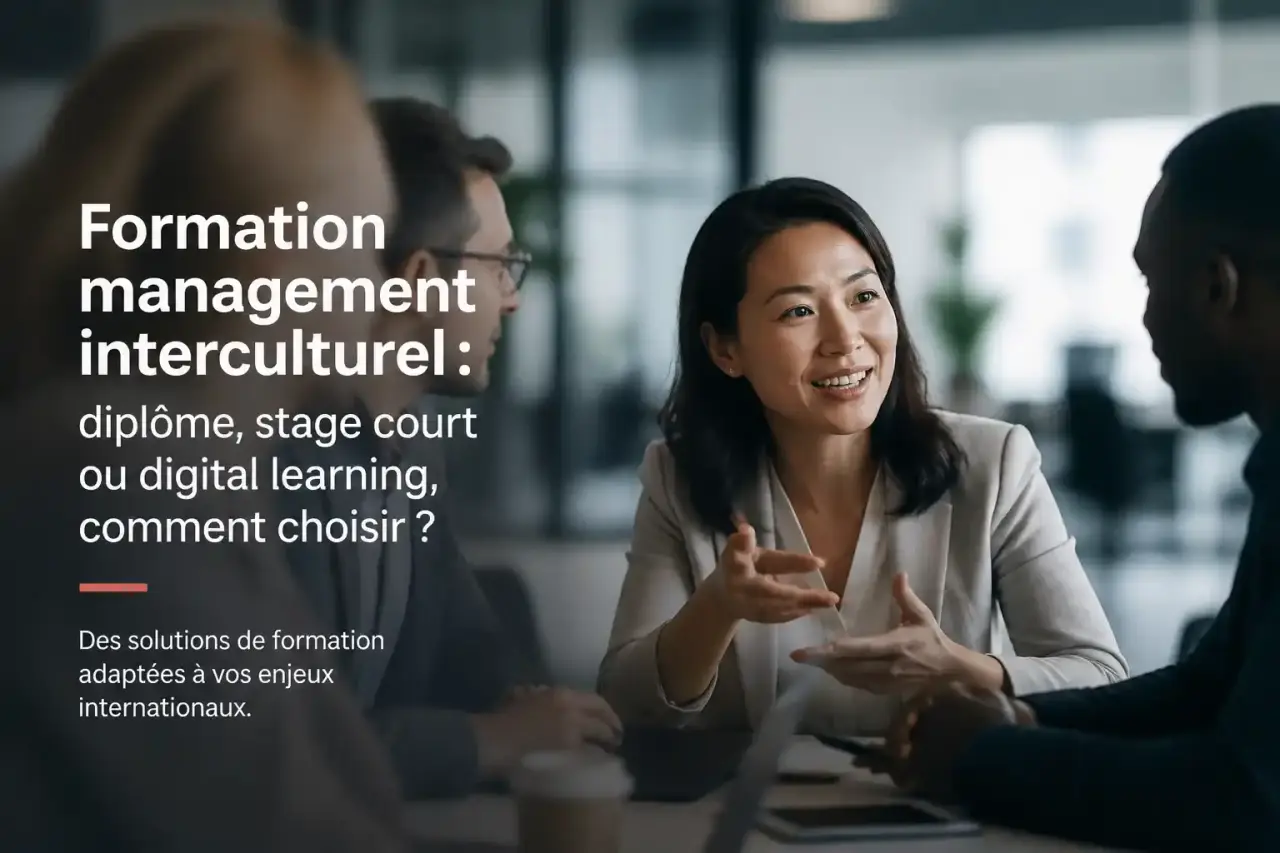 Formation management interculturel : diplôme, stage court ou digital learning, comment choisir ?